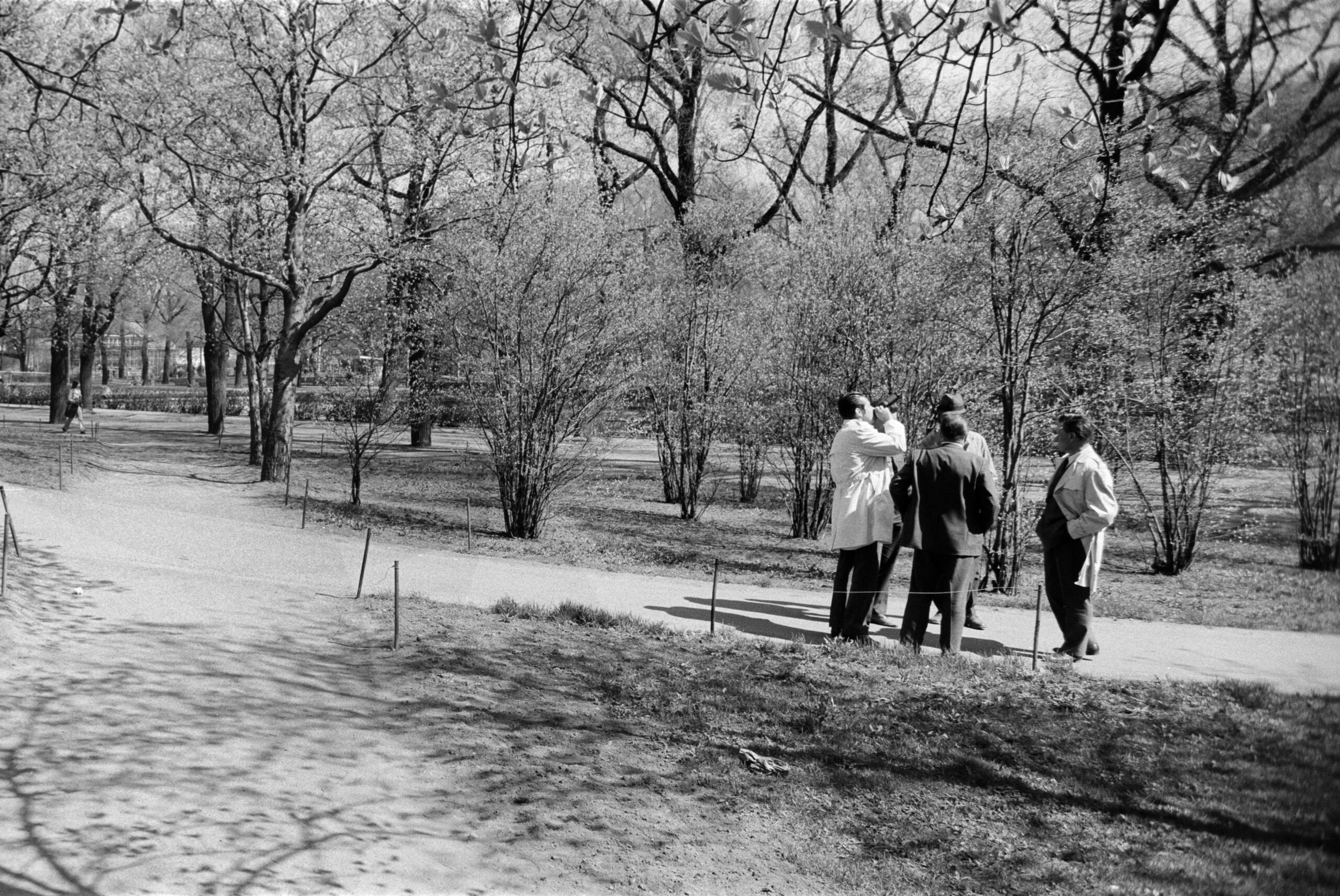 Mustavalkoinen yleiskuva Kaisaniemen puistosta, kuvan oikeassa reunassa viiden henkilön miesporukka.